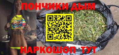 прущие грибы Канаш
