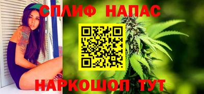 прущие грибы Канаш