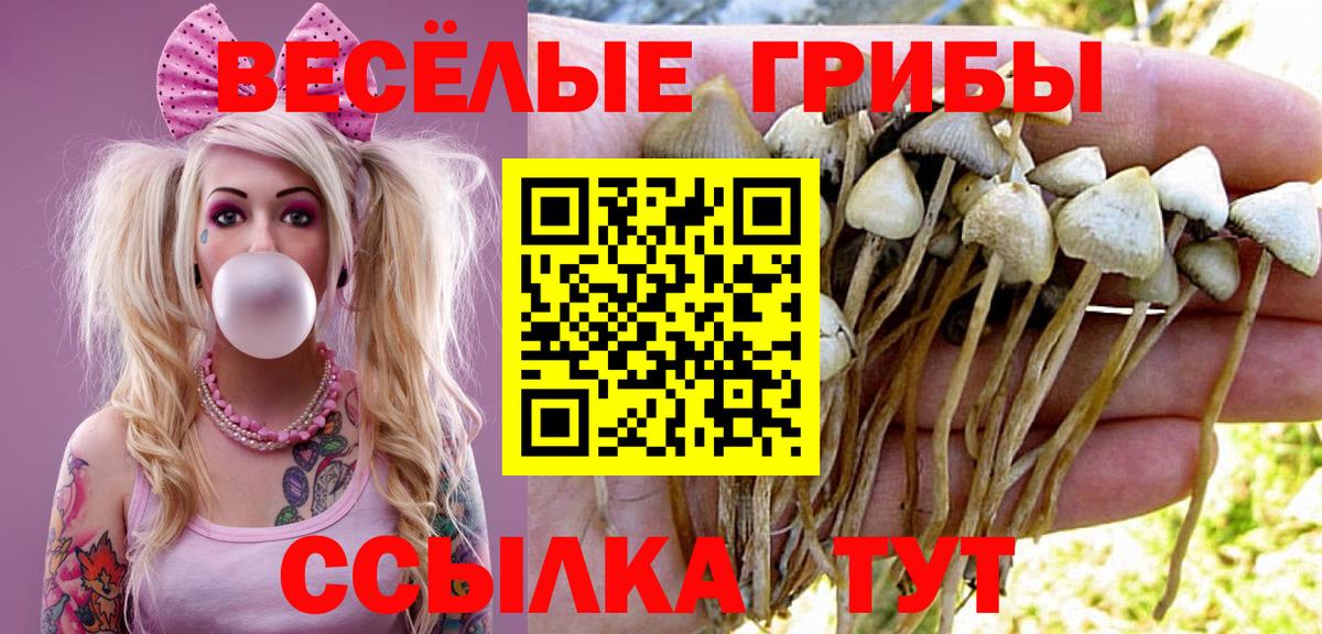 Галлюциногенные грибы Psilocybine cubensis Усть-Кут